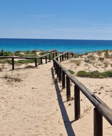 A wooden walkway with railings leads through sandy dunes in Salento, Apulia, covered in green shrubs toward a bright blue ocean under a mostly clear sky. The sunlit scene is calm, with grass and low bushes scattered across the sandy landscape.