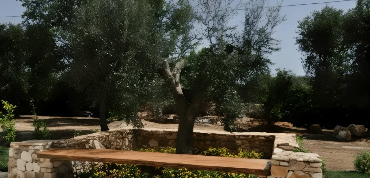 A long wooden bench with stone supports sits in front of a low stone wall, surrounding a garden bed filled with yellow flowers and an olive tree—evoking the charm of a luxury Italian coastal villa amid lush greenery under a clear sky.