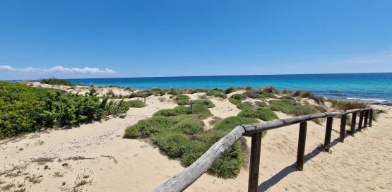 A sandy path with a rustic wooden railing winds through green shrubs and dunes covered in bushes at the dune di Campomarino near Villa Mia Salento, leading towards a bright blue sea beneath a cloudless, sunny sky.
