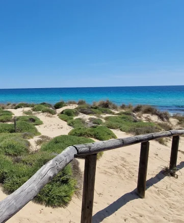 A sandy path with a rustic wooden railing winds through green shrubs and dunes covered in bushes at the dune di Campomarino near Villa Mia Salento, leading towards a bright blue sea beneath a cloudless, sunny sky.